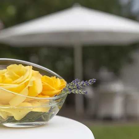 Hotel-restaurant Arneggers Adler