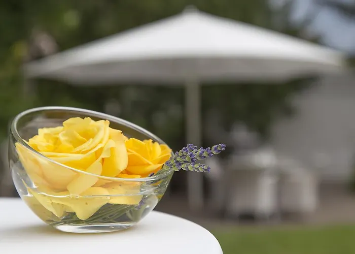 Hotel-restaurant Arneggers Adler