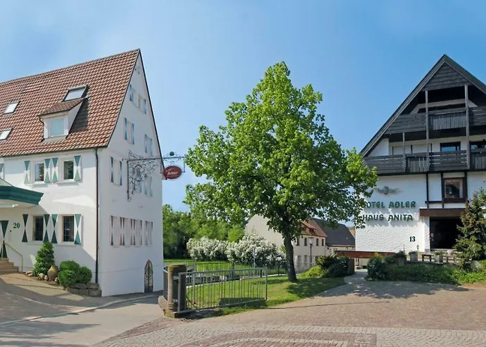 Hotel-restaurant Arneggers Adler 3* Tiefenbronn